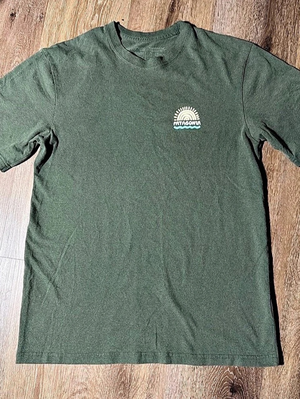 Patagonia No Dams Responsibili-Tee Graphic Short Sleeve Tee in Green